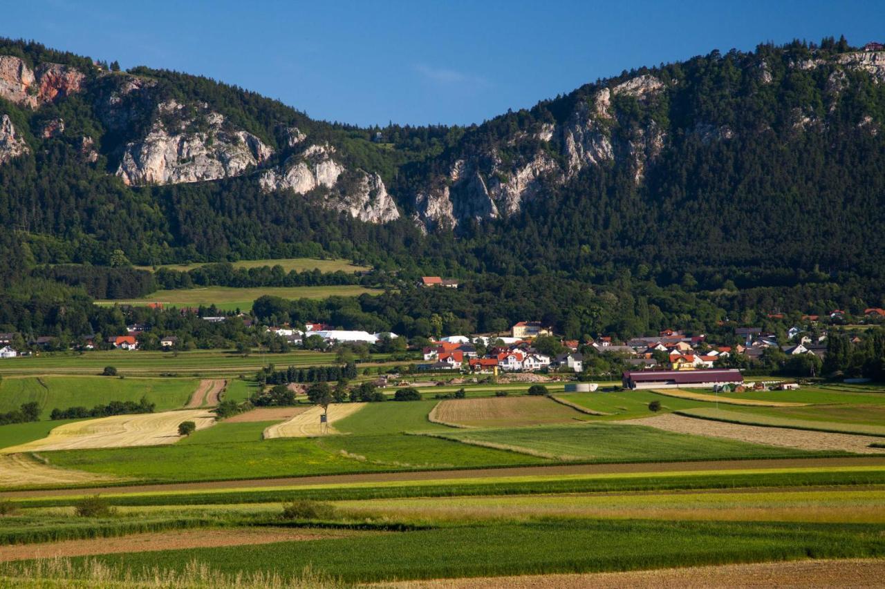 Farmhouse - Hohe Wand Hotel Stollhof Esterno foto